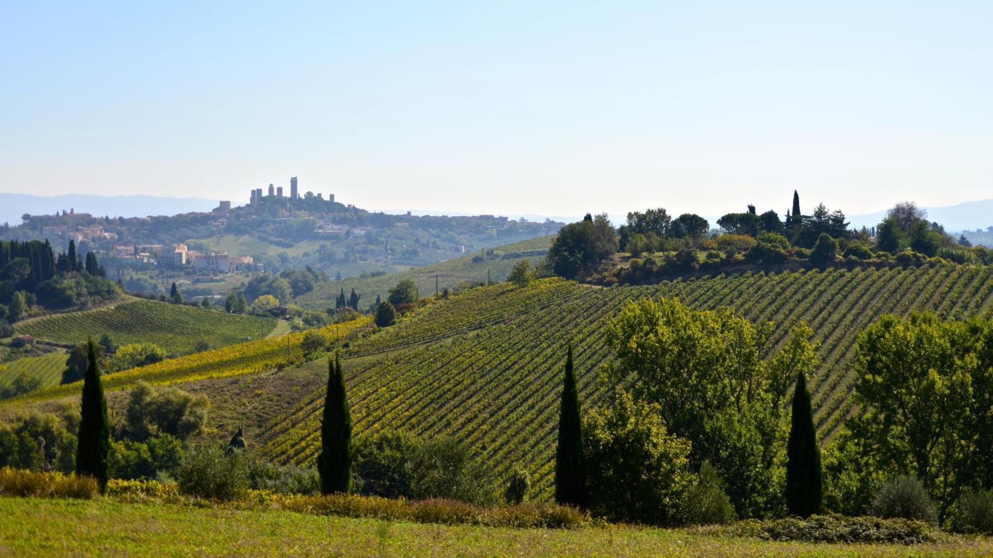 Fattoria Di Fugnano Guest House San Gimignano Exterior foto